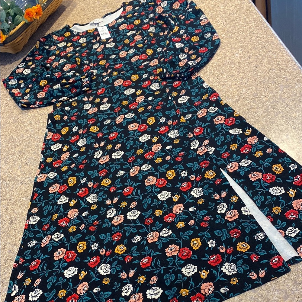 NWT Loft Outlet Floral Dress Small